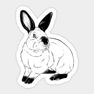Californian Kaninchen Sticker